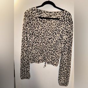 Zara V Neck Blouse